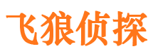 桃山外遇调查取证